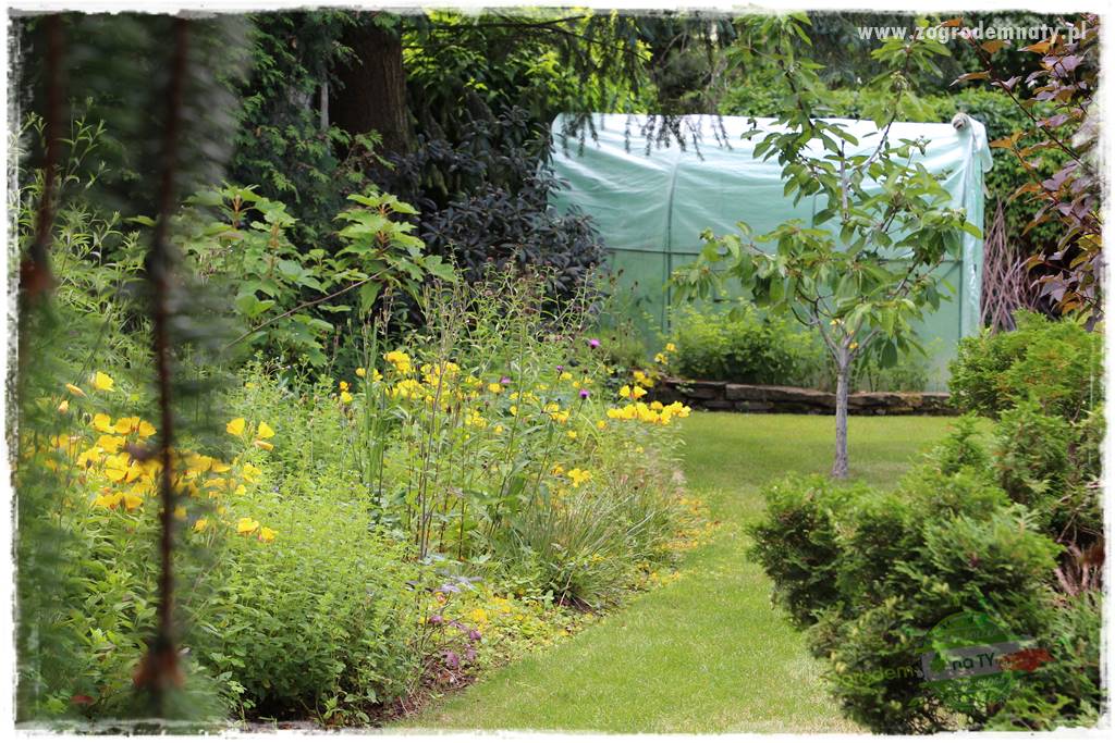 Jak stworzyć ogród ekologiczny 12 Jak stworzyć ogród ekologiczny 12