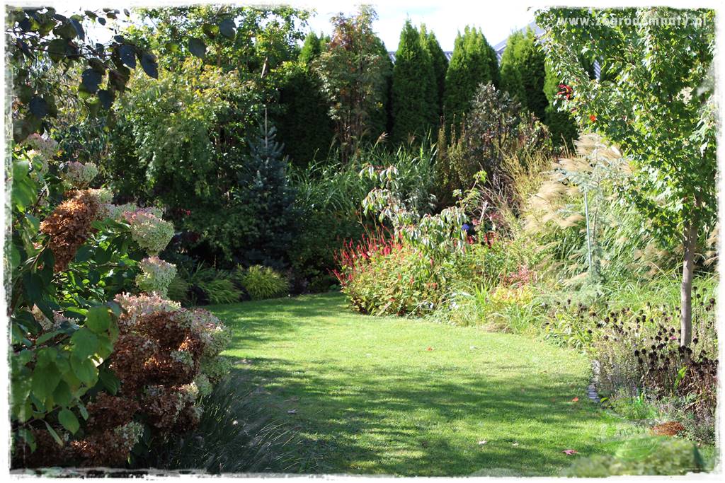 Jak stworzyć ogród ekologiczny 13 Jak stworzyć ogród ekologiczny 13