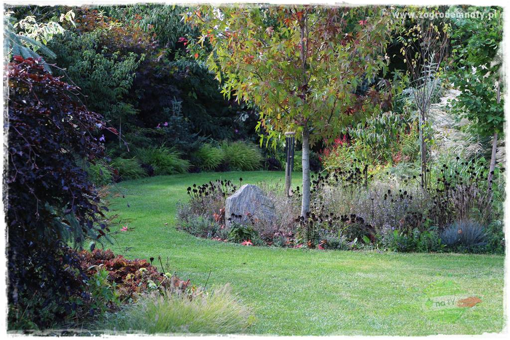 Jak stworzyć ogród ekologiczny 14 Jak stworzyć ogród ekologiczny 14