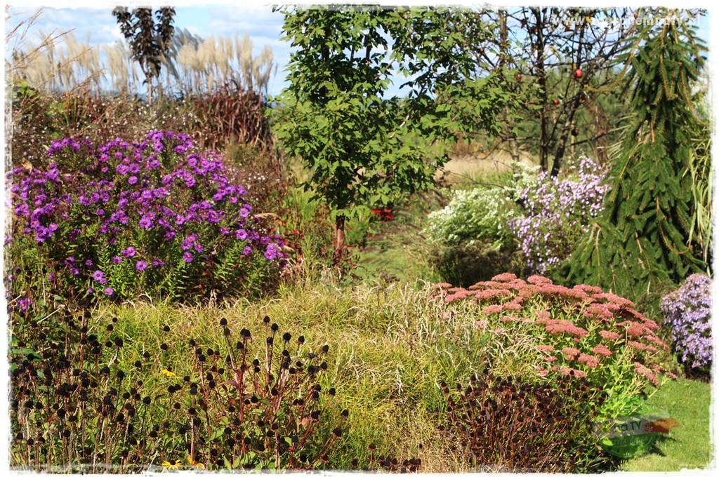 Jak stworzyć ogród ekologiczny 20 Jak stworzyć ogród ekologiczny 20