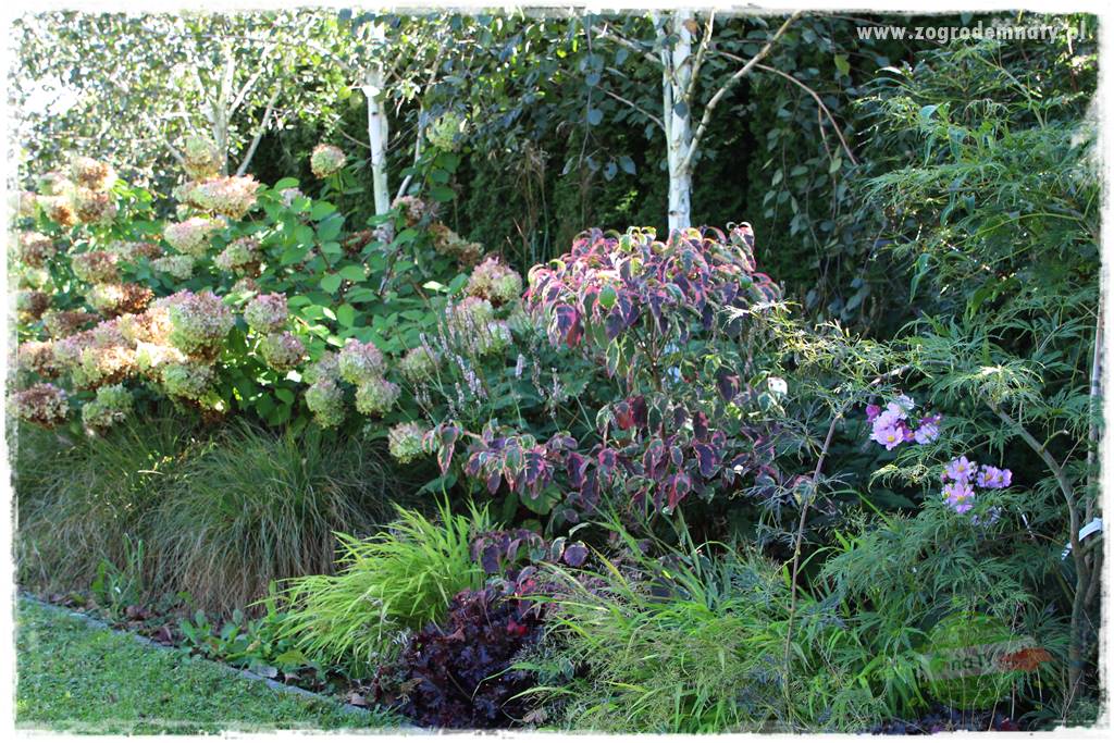 Jak stworzyć ogród ekologiczny 21 Jak stworzyć ogród ekologiczny 21