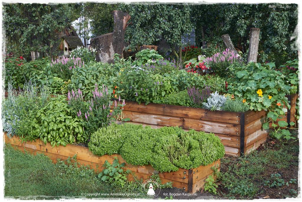 Jak stworzyć ogród ekologiczny 22 Jak stworzyć ogród ekologiczny 22