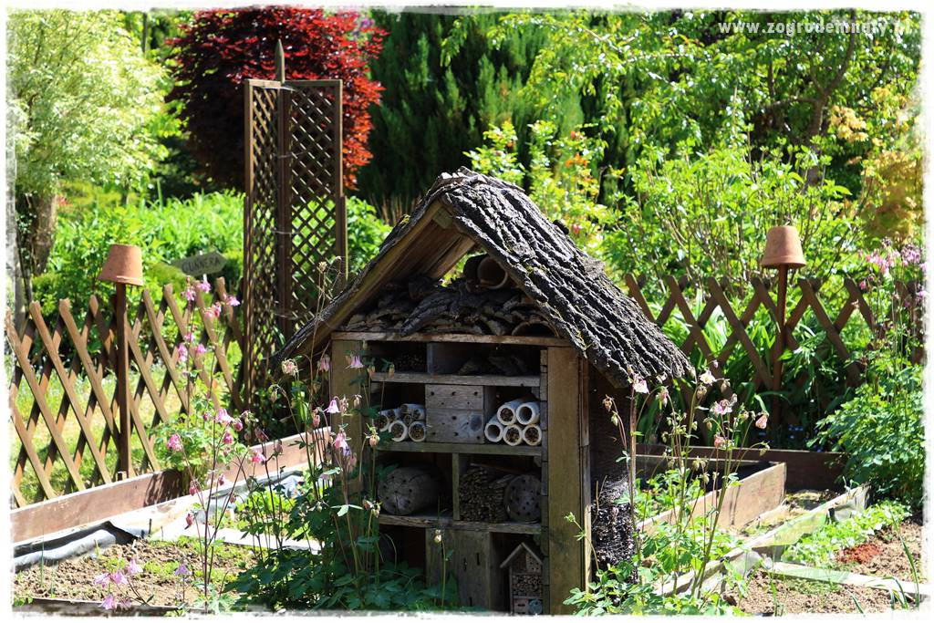 Jak stworzyć ogród ekologiczny 25 Jak stworzyć ogród ekologiczny 25