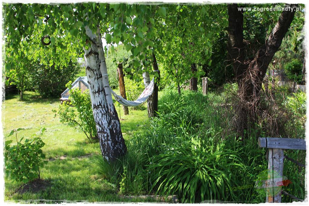 Jak stworzyć ogród ekologiczny 26 Jak stworzyć ogród ekologiczny 26