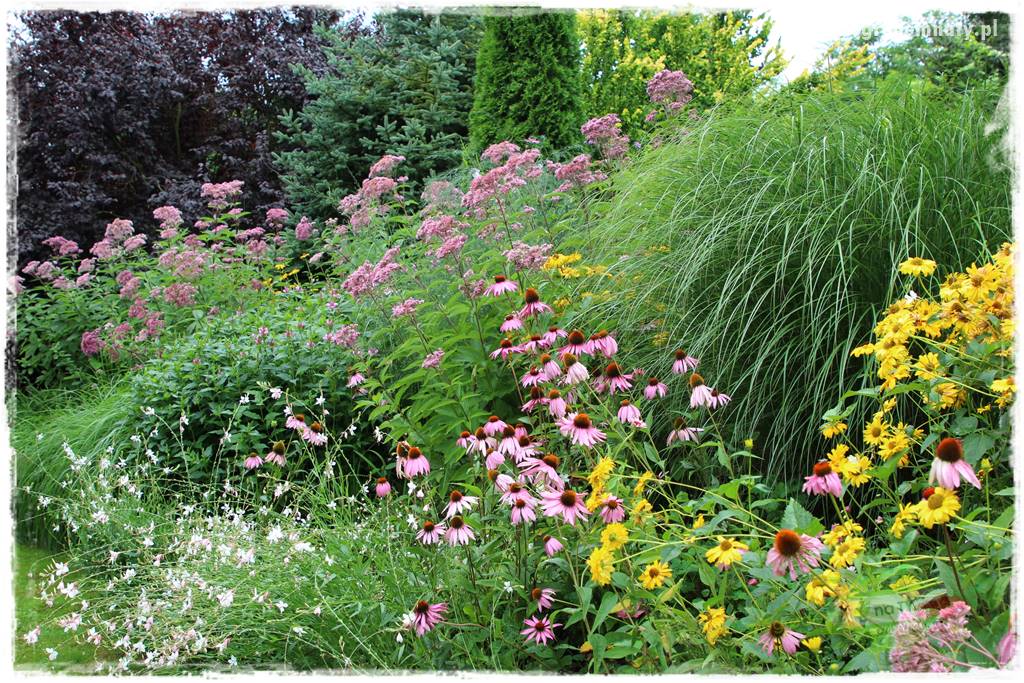 Jak stworzyć ogród ekologiczny 28 Jak stworzyć ogród ekologiczny 28