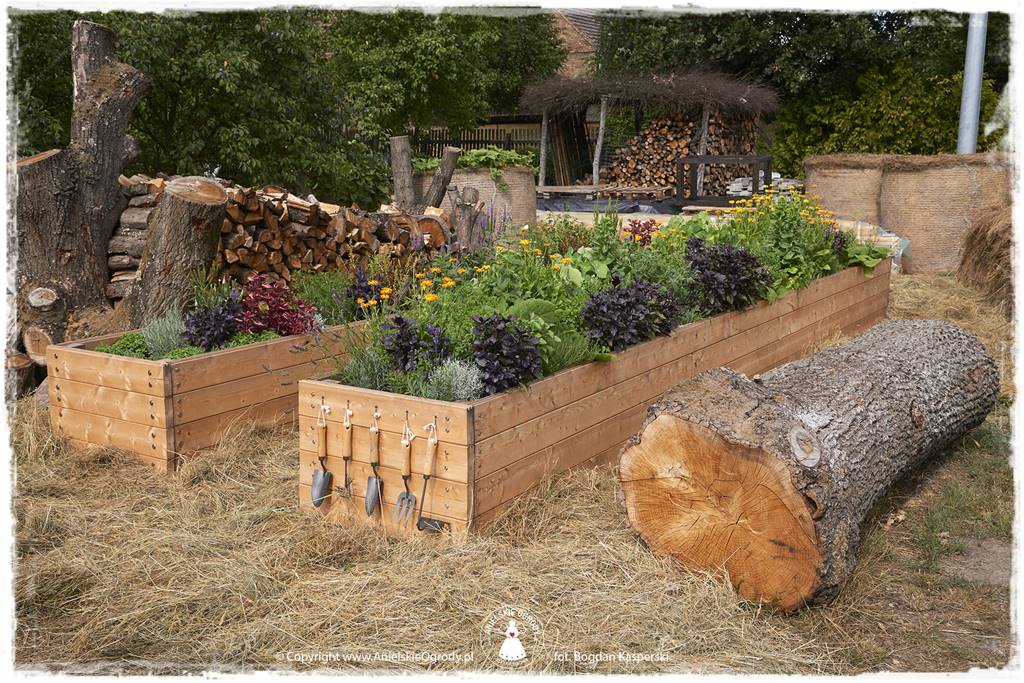 Jak stworzyć ogród ekologiczny 33 Jak stworzyć ogród ekologiczny 33