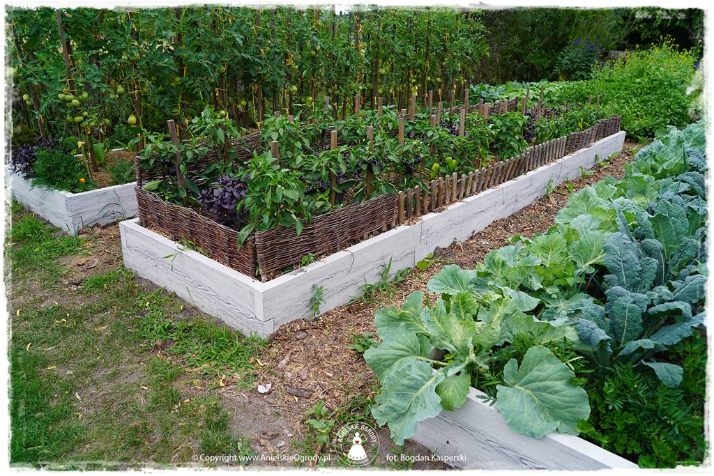 Jak stworzyć ogród ekologiczny 35 Jak stworzyć ogród ekologiczny 35