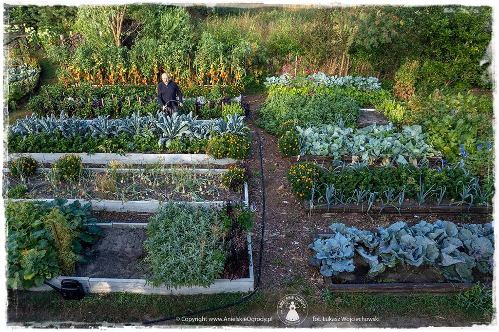 Jak stworzyć ogród ekologiczny 37 Jak stworzyć ogród ekologiczny 37