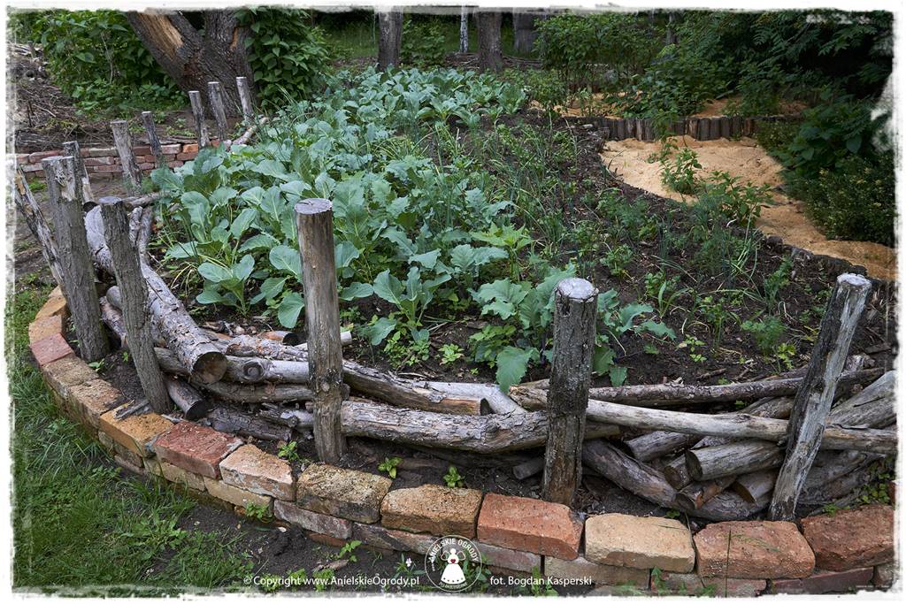 Jak stworzyć ogród ekologiczny 38 Jak stworzyć ogród ekologiczny 38