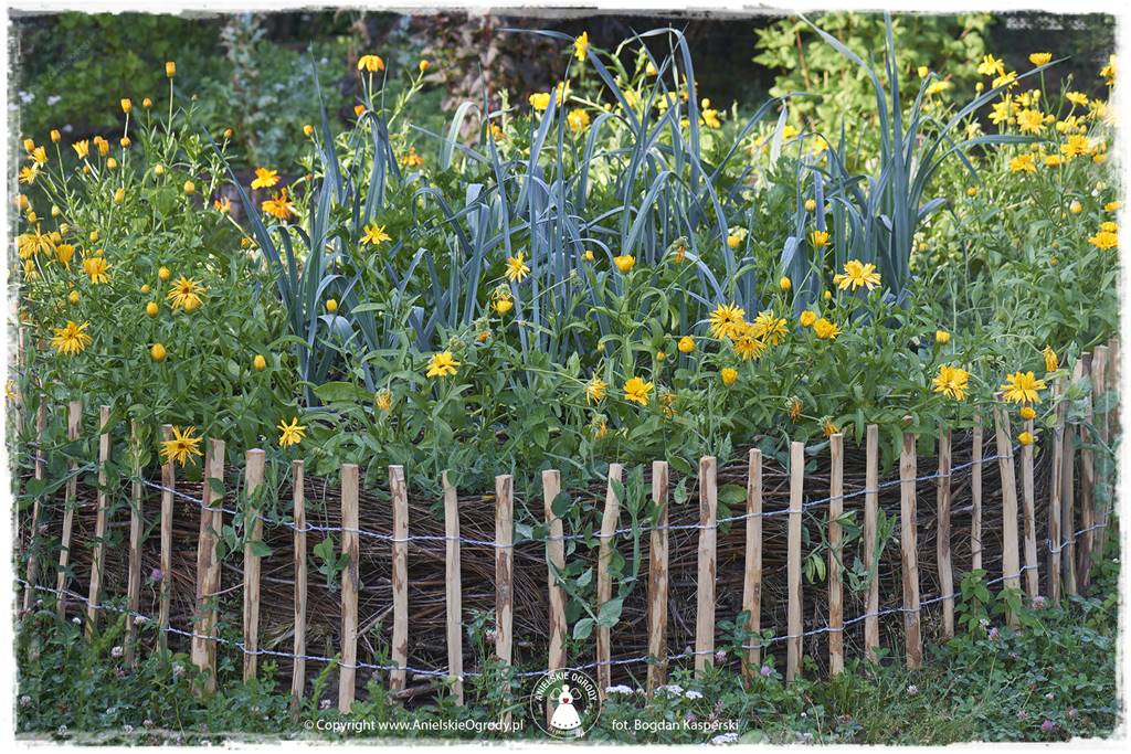 Jak stworzyć ogród ekologiczny 40 Jak stworzyć ogród ekologiczny 40