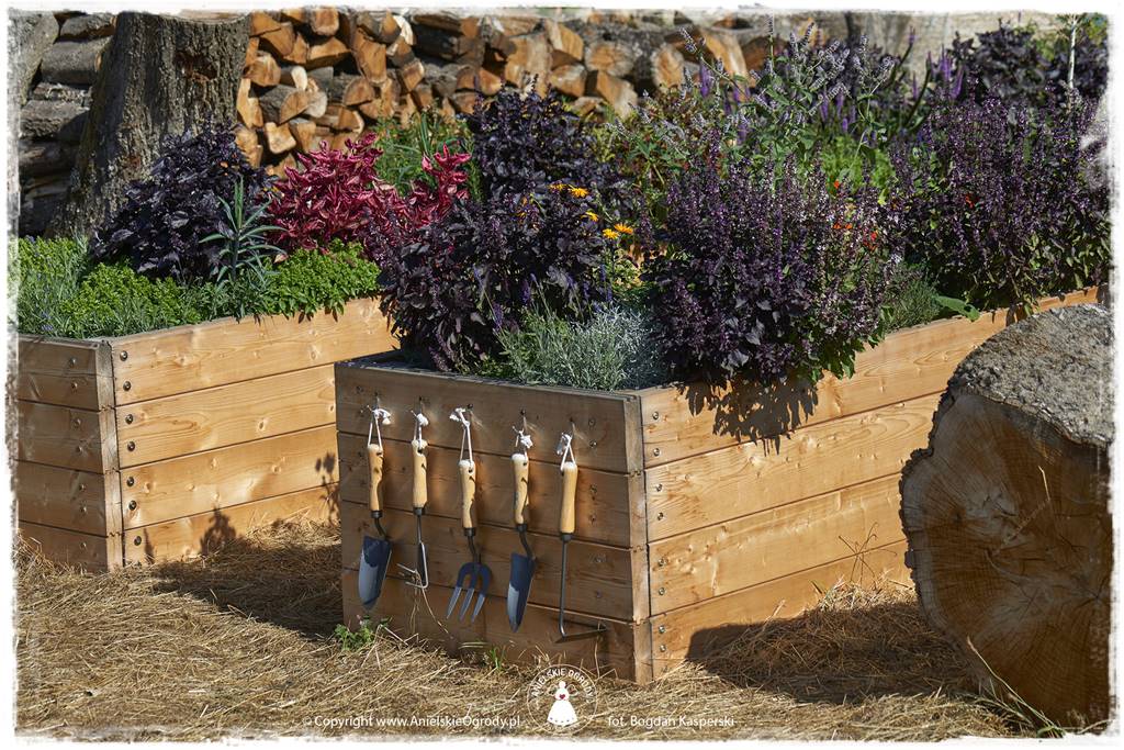 Jak stworzyć ogród ekologiczny 42 Jak stworzyć ogród ekologiczny 42