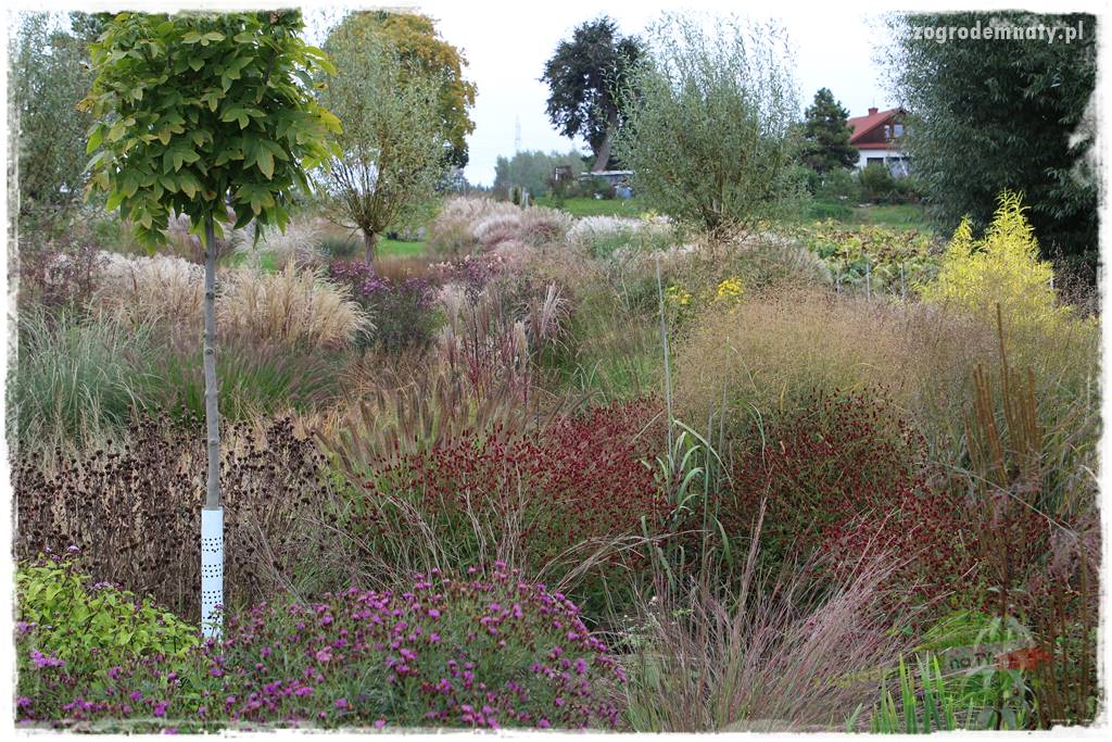 Jak stworzyć ogród ekologiczny 43 Jak stworzyć ogród ekologiczny 43