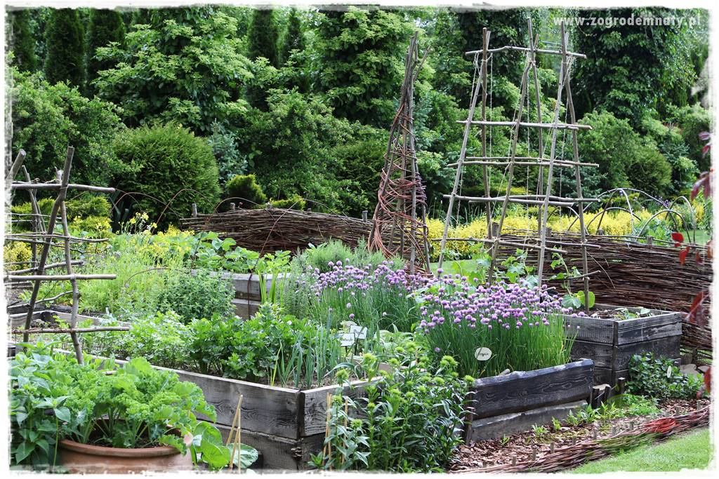 Jak stworzyć ogród ekologiczny 44 Jak stworzyć ogród ekologiczny 44