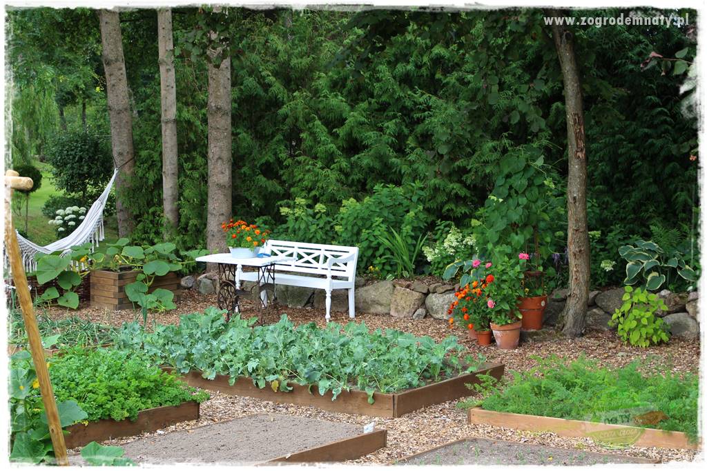 Jak stworzyć ogród ekologiczny 45 Jak stworzyć ogród ekologiczny 45
