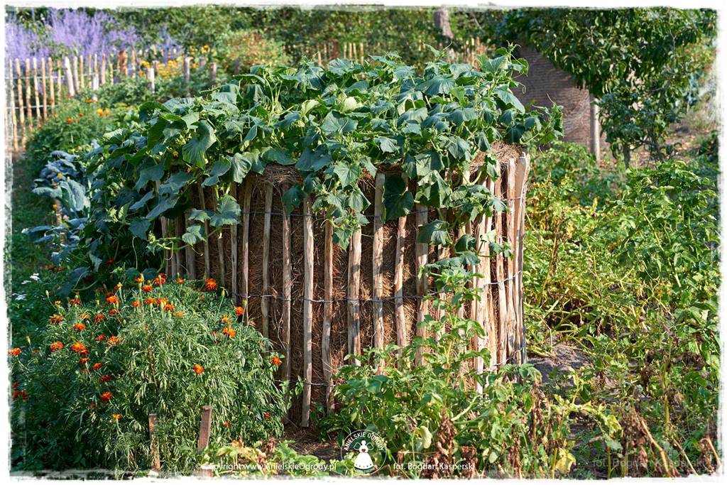 Jak stworzyć ogród ekologiczny 46 Jak stworzyć ogród ekologiczny 46