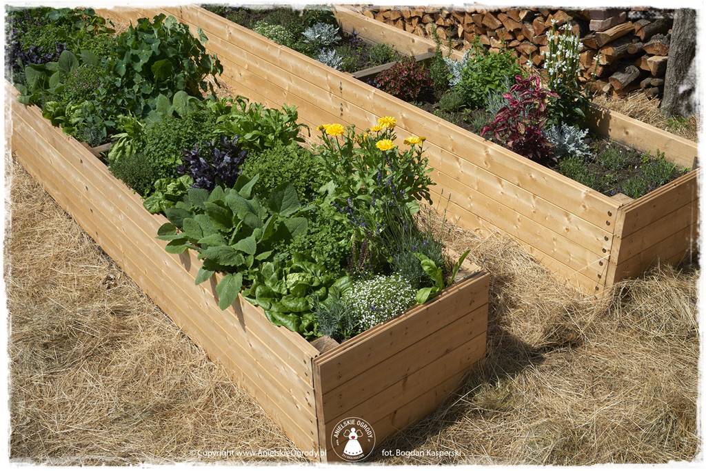 Jak stworzyć ogród ekologiczny 47 Jak stworzyć ogród ekologiczny 47