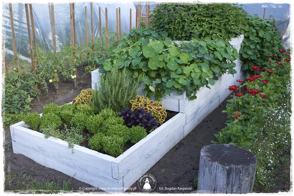 Jak stworzyć ogród ekologiczny 48 Jak stworzyć ogród ekologiczny 48