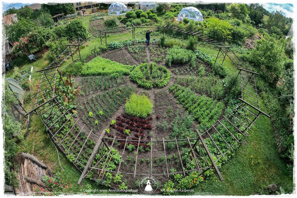 Jak stworzyć ogród ekologiczny 50 Jak stworzyć ogród ekologiczny 50