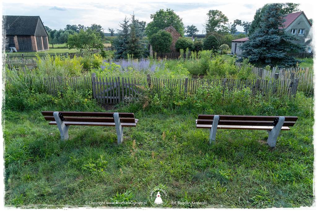 Jak stworzyć ogród ekologiczny 51 Jak stworzyć ogród ekologiczny 51