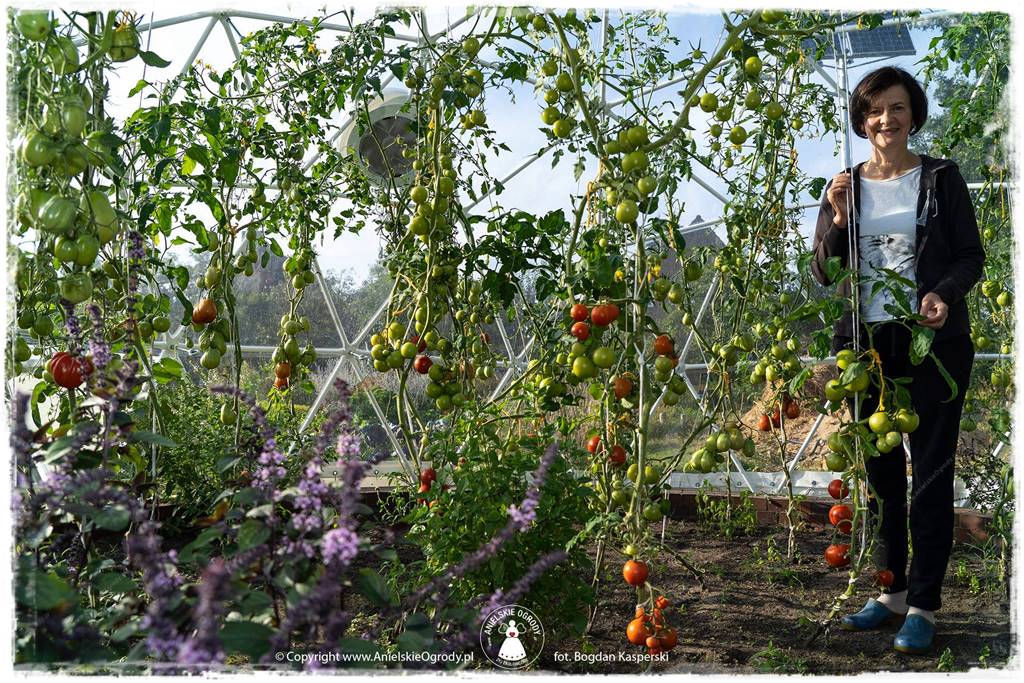 Jak stworzyć ogród ekologiczny 53 Jak stworzyć ogród ekologiczny 53