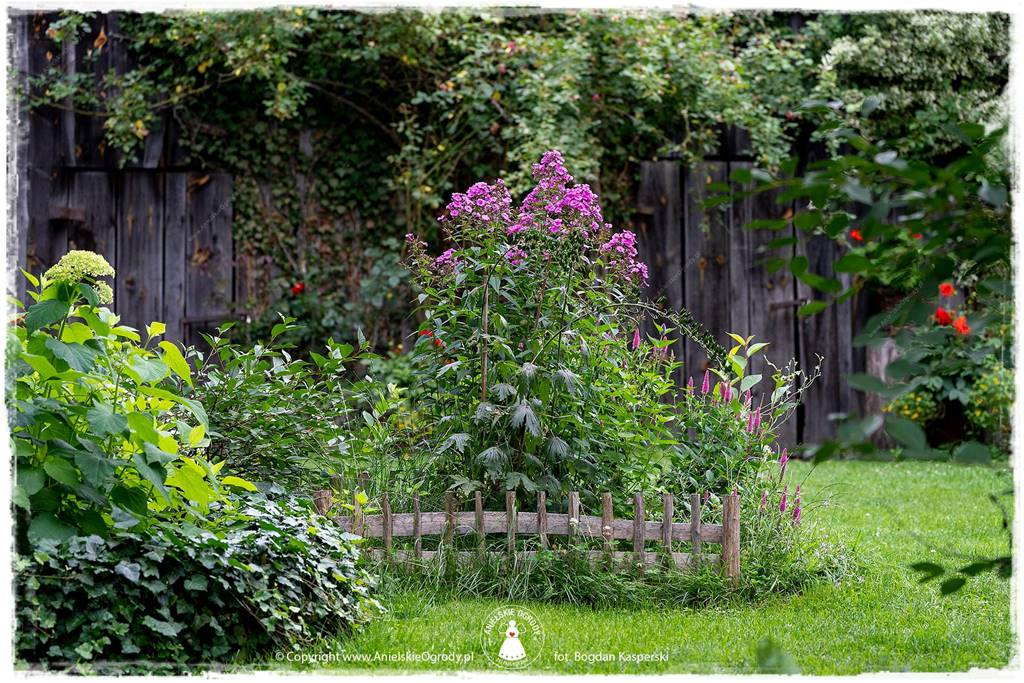 Jak stworzyć ogród ekologiczny 54 Jak stworzyć ogród ekologiczny 54