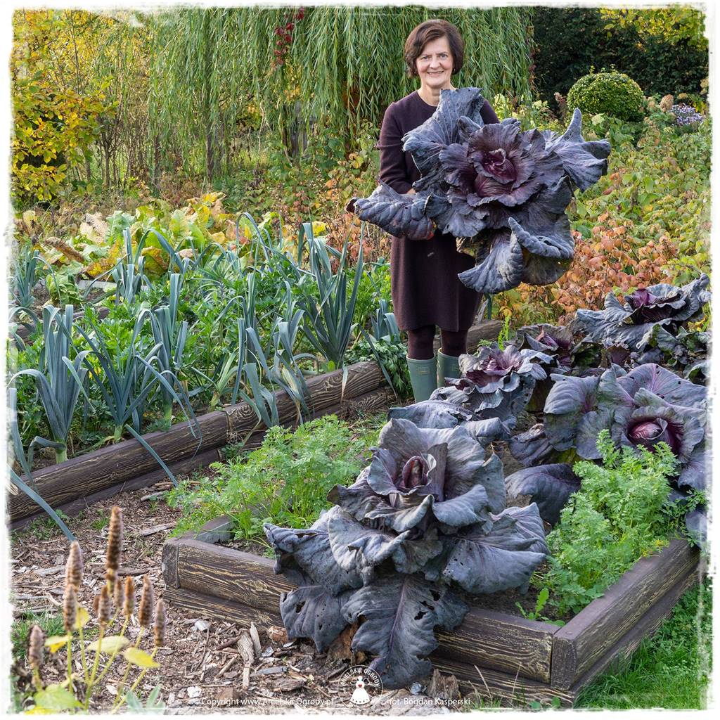 Jak stworzyć ogród ekologiczny 56 Jak stworzyć ogród ekologiczny 56