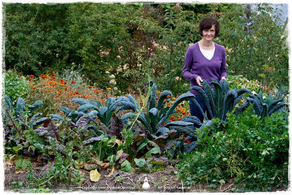 Jak stworzyć ogród ekologiczny 57 Jak stworzyć ogród ekologiczny 57