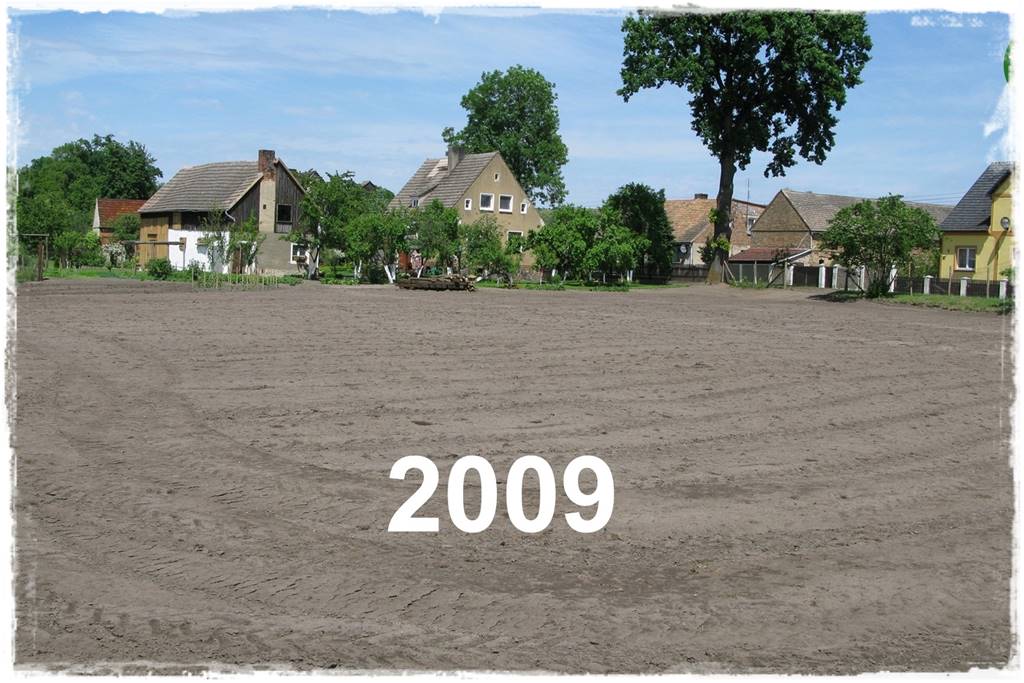 Jak stworzyć ogród ekologiczny 59 Jak stworzyć ogród ekologiczny 59