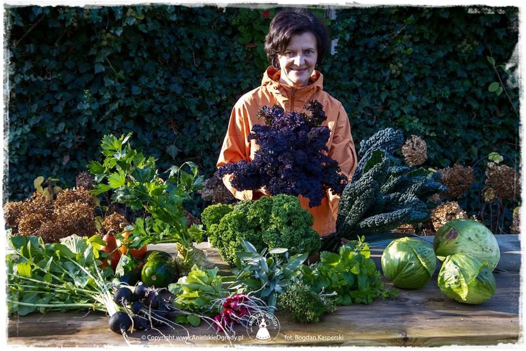 Jak stworzyć ogród ekologiczny 66 Jak stworzyć ogród ekologiczny 66