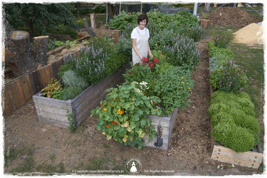 Jak stworzyć ogród ekologiczny 67 Jak stworzyć ogród ekologiczny 67