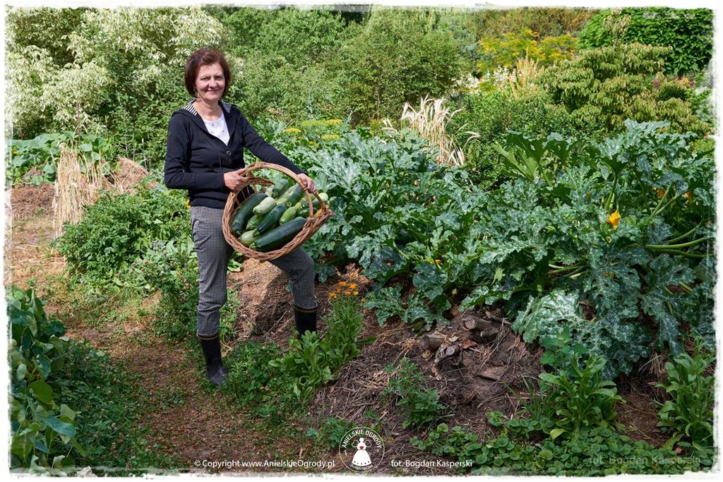 Jak stworzyć ogród ekologiczny 68 Jak stworzyć ogród ekologiczny 68