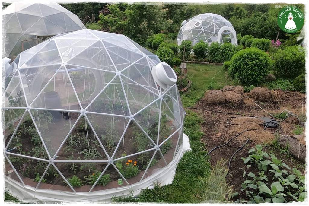 Jak stworzyć ogród ekologiczny 71 Jak stworzyć ogród ekologiczny 71