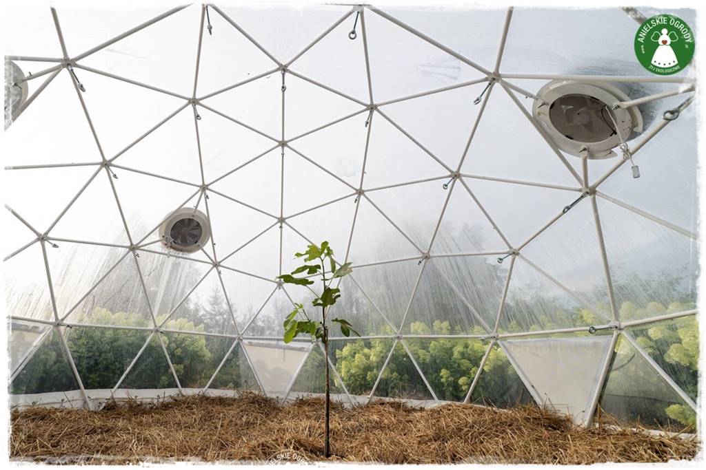 Jak stworzyć ogród ekologiczny 72 Jak stworzyć ogród ekologiczny 72