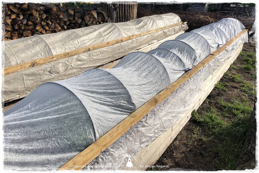 Jak stworzyć ogród ekologiczny 74 Jak stworzyć ogród ekologiczny 74