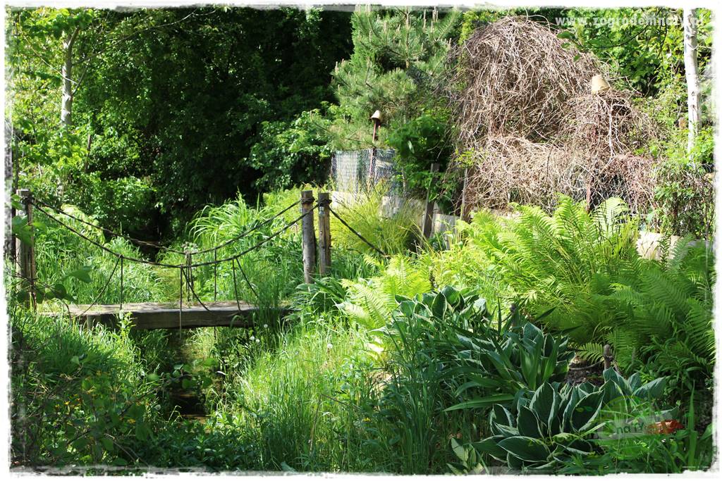 Jak stworzyć ogród ekologiczny 8 Jak stworzyć ogród ekologiczny 8