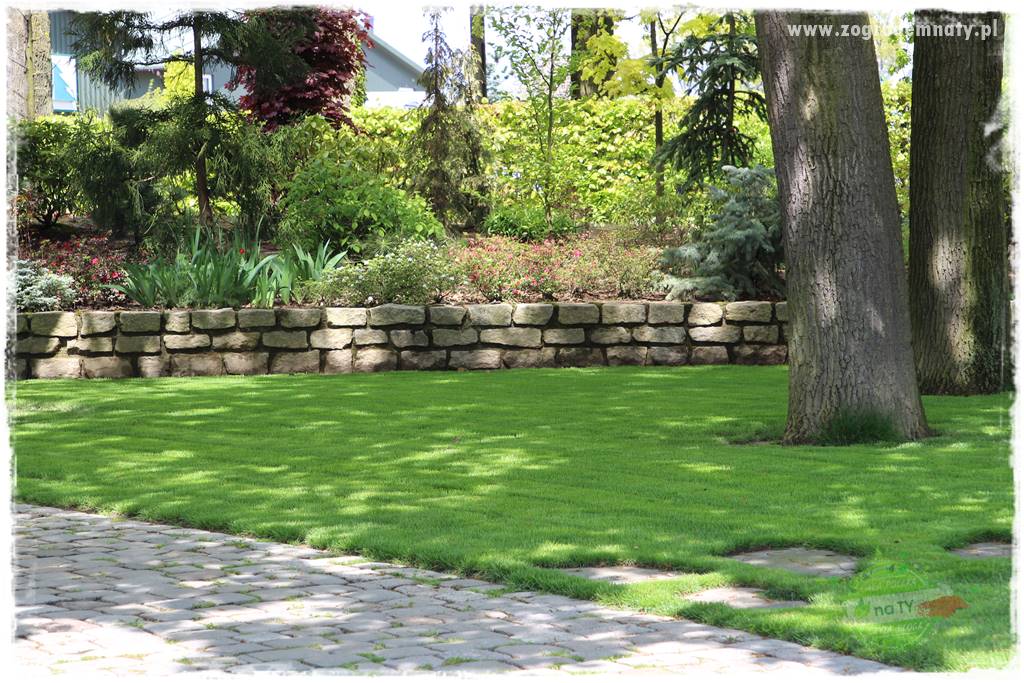 Jaki robot koszący do ogrodu 12 Jaki robot koszący do ogrodu 12