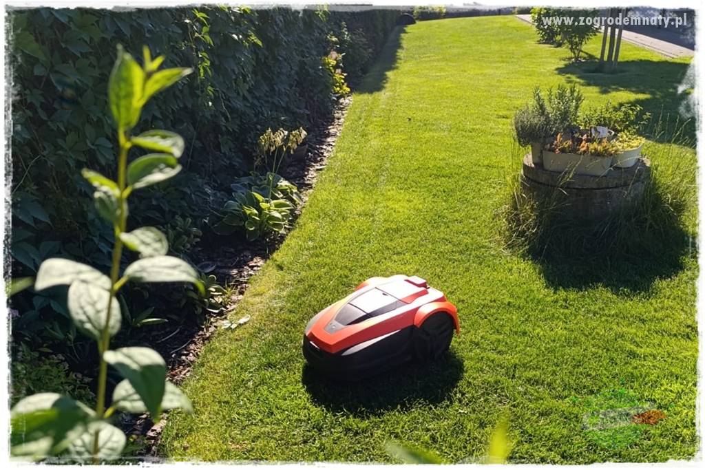 Jaki robot koszący do ogrodu 24 Jaki robot koszący do ogrodu 24