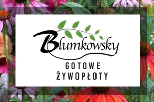 Judaszowiec w ogrodzie 101 Judaszowiec w ogrodzie 101