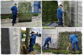 zielone panele z bluszczu 0