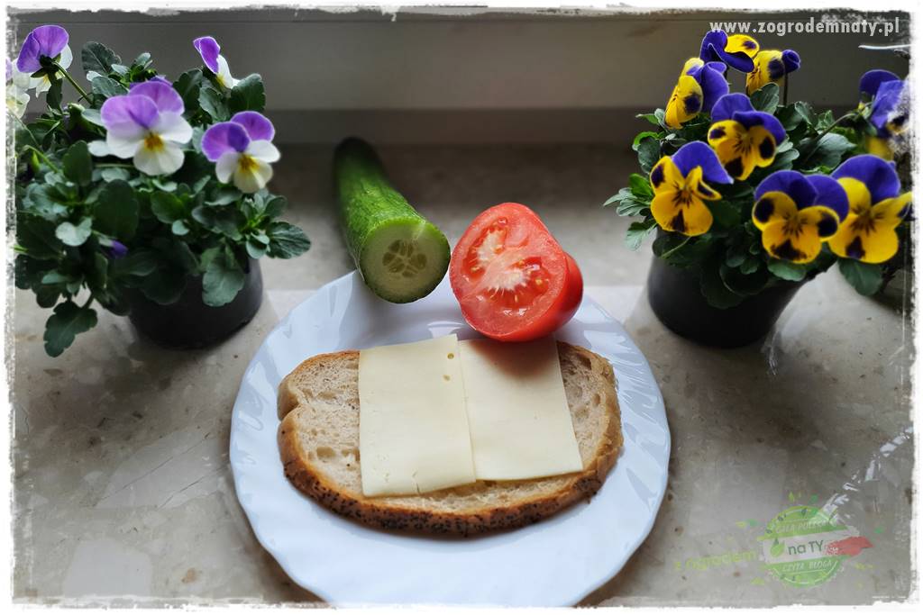 Jadalne kwiaty 2 Jadalne kwiaty 2