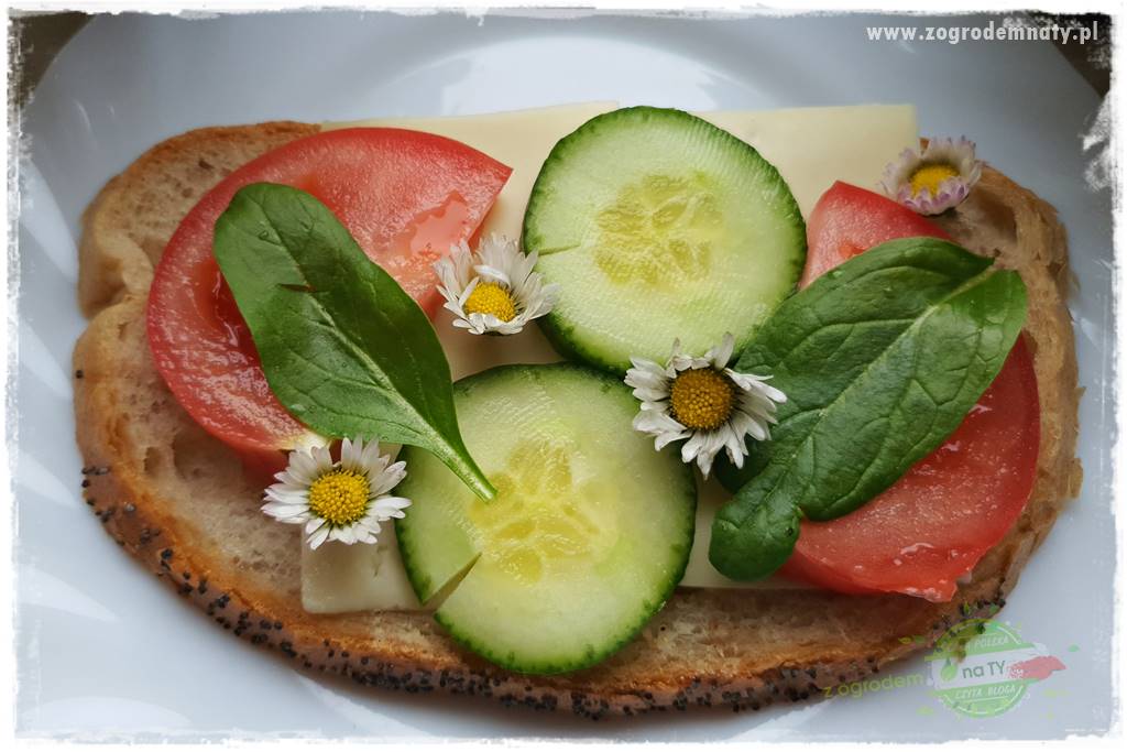 Jadalne kwiaty 5 Jadalne kwiaty 5