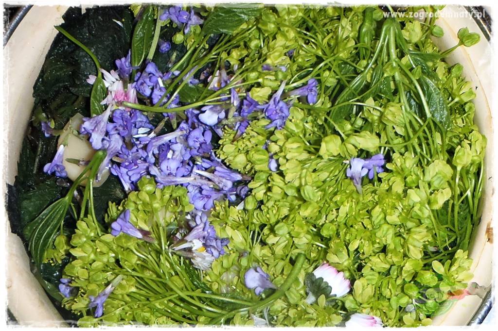 OLYMPUS DIGITAL CAMERA OLYMPUS DIGITAL CAMERA