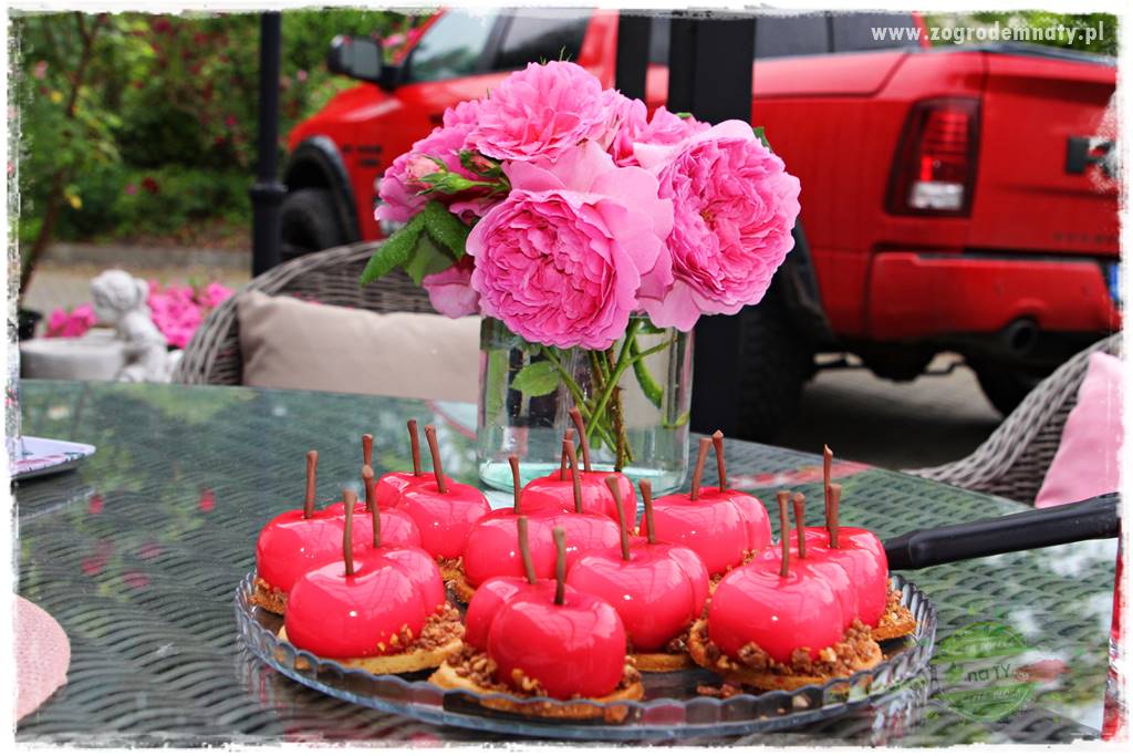 Jadalne kwiaty 9 Jadalne kwiaty 9