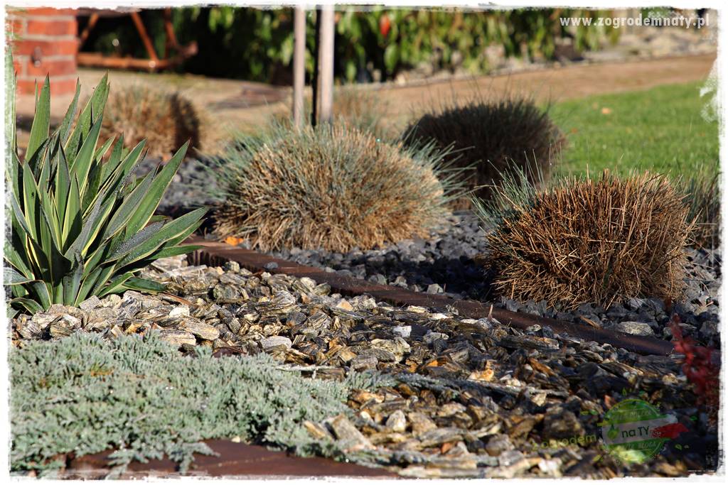 Jak ściółkować korą kamienną 1 Jak ściółkować korą kamienną 1