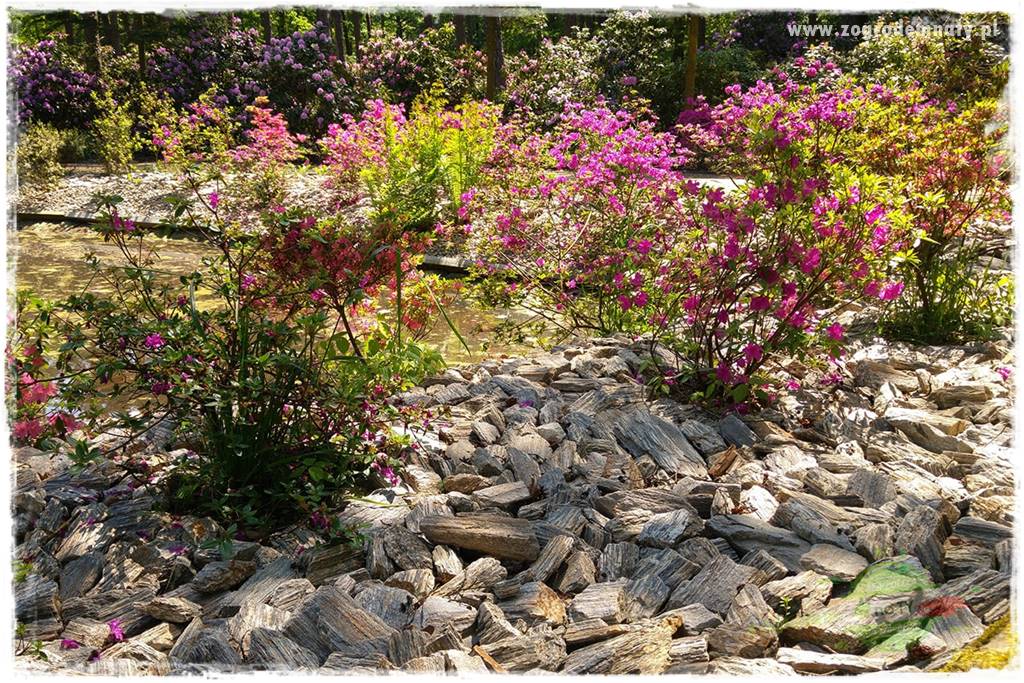 Jak ściółkować korą kamienną 24 Jak ściółkować korą kamienną 24