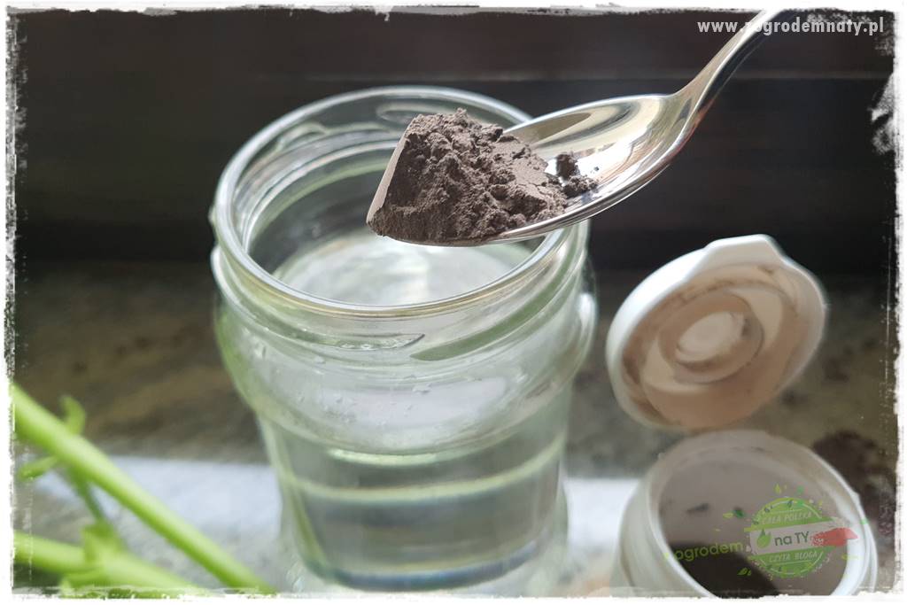 Jak zrobić sadzonki pelargonii 26 Jak zrobić sadzonki pelargonii 26