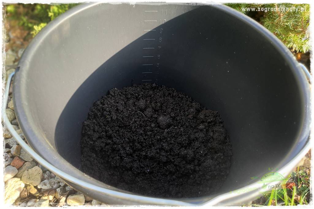 Jak zrobić sadzonki pelargonii 29 Jak zrobić sadzonki pelargonii 29