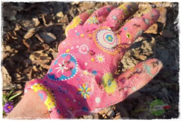 Jak zwalczyć mrówki skutecznie 0