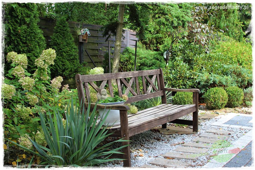 Jak zwalczyć mrówki skutecznie 15