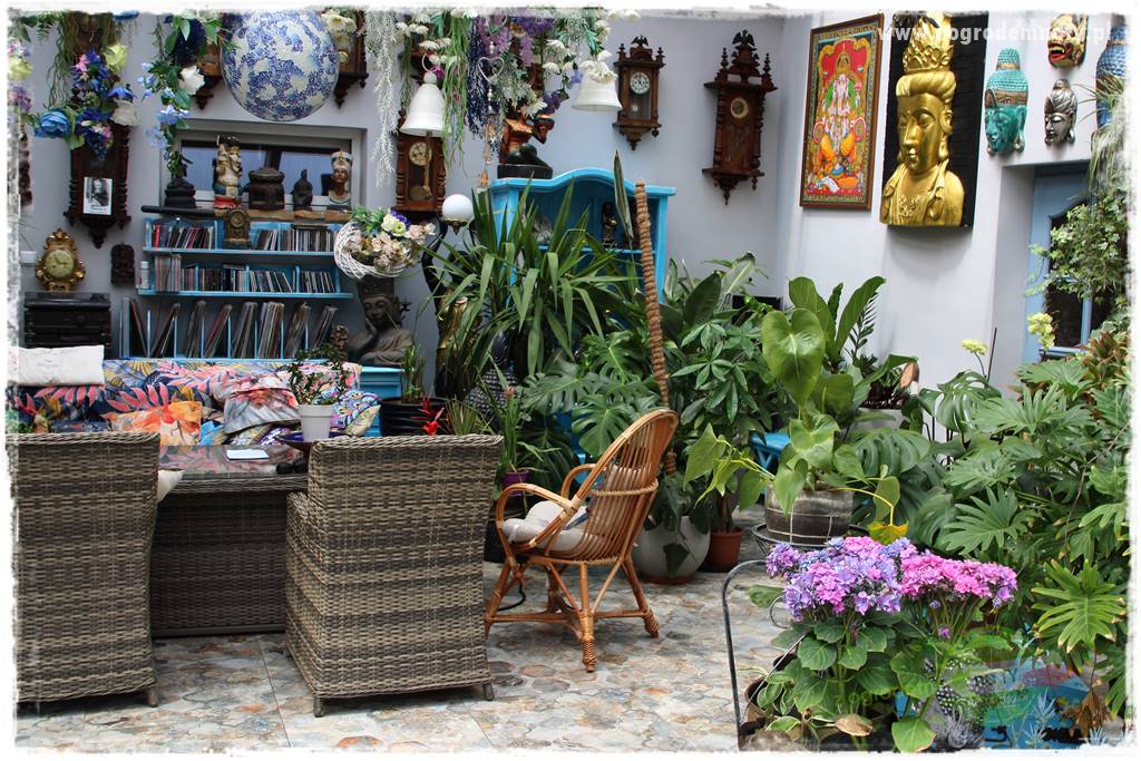 Jak zwalczyć mrówki skutecznie 17